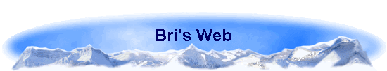 Bri's Web